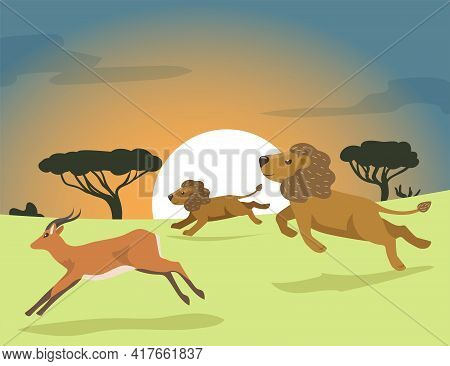 Two Cartoon Lions Hunting In Africa Flat Vector Illustration. Lion Pride Chasing Antelope At Sunset 