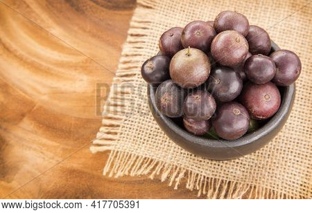 Brazilian Exotic Berry Jabuticaba - Plinia Cauliflora