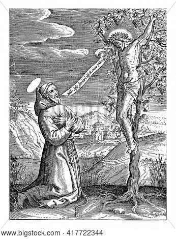 A saint, dressed in a monk's habit, kneeling before a Christ crucified on a vine.