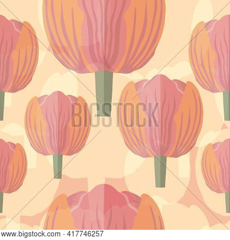 Seamless Pattern With Varietal Pink And Orange Tulip. Pink Silhouettes Of The Same Tulip On The Bott