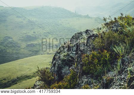 Scenic Alpine Landscape With Small Yellow Flowers And Green Grasses On Rocks On Background Of Green 