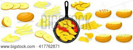 Illustration On Theme Beautiful Big Set Sweet Vegetable Potato On Black Cast Iron Pan. Vegetable Pat
