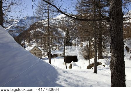 Devero Park ( Verbano-cusio-ossola ), Italy - January 15, 2017: Typical Houses In The Forest At Alpe