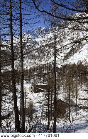 Devero Park ( Verbano-cusio-ossola ), Italy - January 15, 2017: Alpe Devero Park Landscape, Ossola V