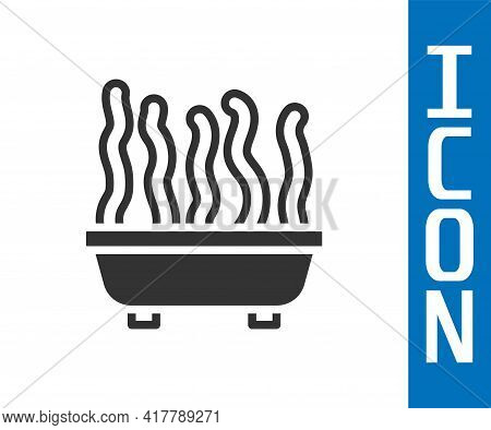 Grey Plant In Pot Icon Isolated On White Background. Plant Growing In A Pot. Potted Plant Sign. Vect