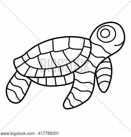 Cartoon Linear Hand-drawn Turtle Coloring Page Stock Vector Illustration. Doodle Little Sea Turtle B