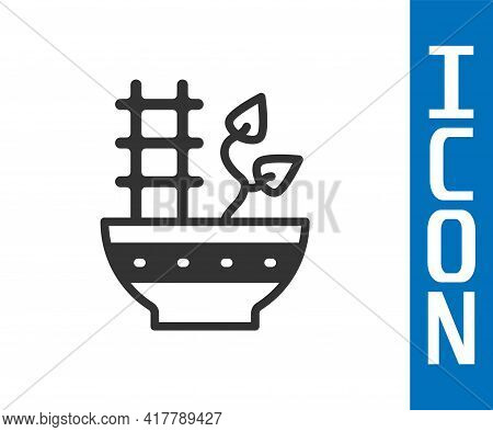 Grey Plant In Pot Icon Isolated On White Background. Plant Growing In A Pot. Potted Plant Sign. Vect