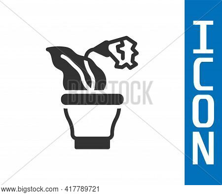 Grey Flower In Pot Icon Isolated On White Background. Plant Growing In A Pot. Potted Plant Sign. Vec