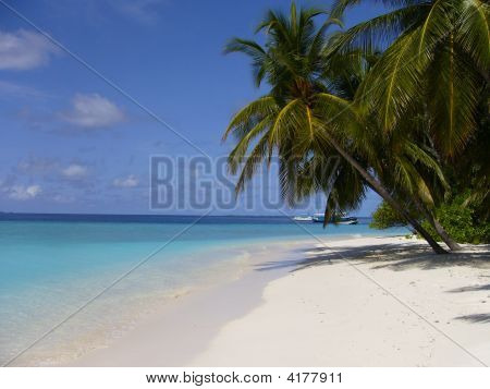 Palm Beach