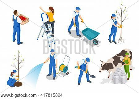 Isometric Set Of Farmers Or Agricultural Workers Planting Crops, Farmer With A Wheelbarrow, Harvesti
