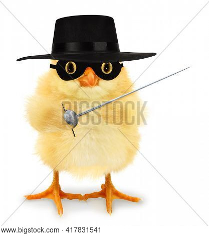 Cute cool chick Zorro masked swordsman vigilante with sword rapier funny conceptual image
