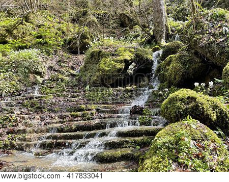 Beautiful Landscape Of Mountain Stream Flowing Down Stone Steps. Mountain Waterway Flowing Down Natu