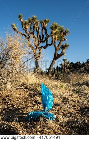Blue Dog Poop Bag On Trail In Joshua Tree National Park Indicates An Inconsiderate Hiker Has Been Th
