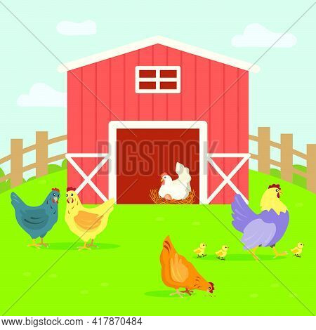 Cute Hens With Chickens Walking On Farm Yard. Grass, Feather, Egg Flat Vector Illustration. Farm Ani