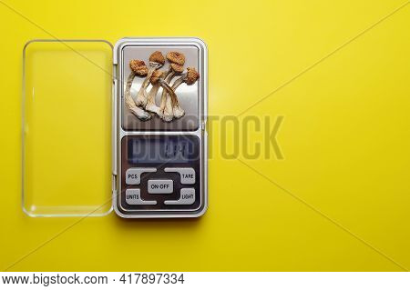 Psychedelic Microdosing. Dry Psilocybin Mushrooms And Calculator On Bright Blue Background. Micro-do