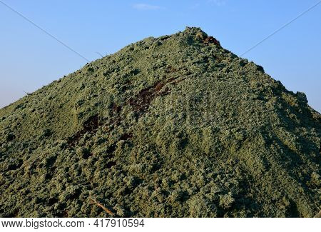 Stabilization Of Slopes By Hydro Sowing. A Mixture Of Wood Pulp And Green Grass Seed Is Sprayed From