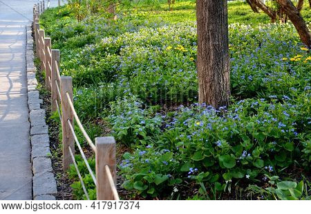 Bench At A Retaining Wall In A Park Of Black Bushes Early Spring Perennials On A High Flowerbed Path