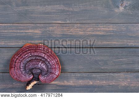 Ganoderma Lucidum Mushroom On Wood Table