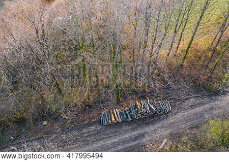 Aerial view of pile of logs, forest management work, Ardennes, Belgium. Deciduous tree forest. Torgny