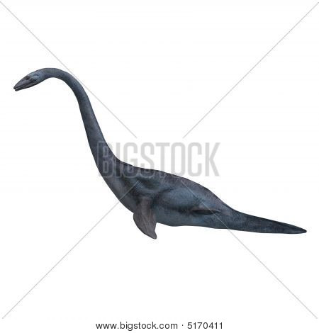 Elasmosaurus