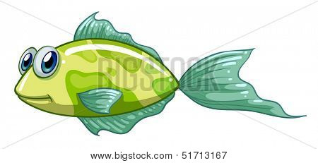 Illustration of a small green fish on a white background