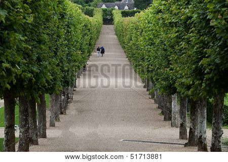 Splendid decorative gardens at castles in France