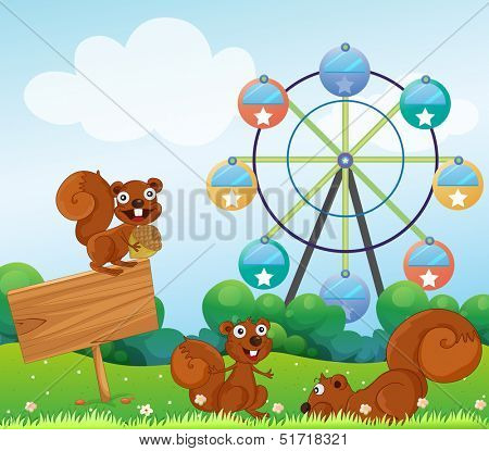 Illustration of the three playful squirrels near the empty arrowboard at the hilltop