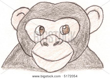 Macaco curioso