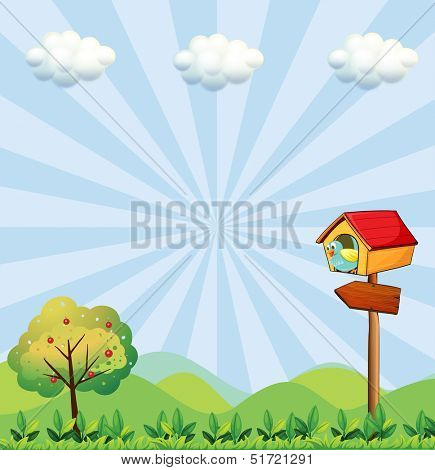 Illustration of a birdhouse at the hilltop with an arrowboard
