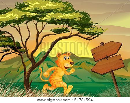 Illustration of a tiger following the signs