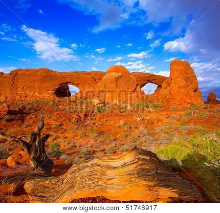 Arches National Park Windows section in Moab Utah USA