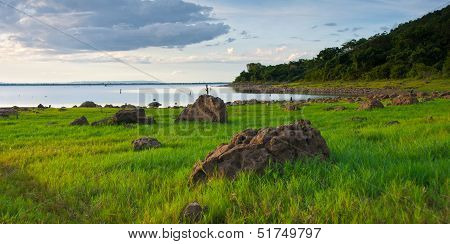 Rock and beach grass