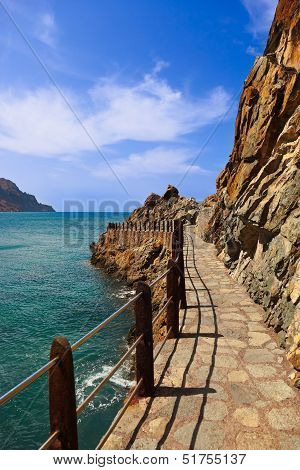 Coast In Tenerife Island - Canary Spain