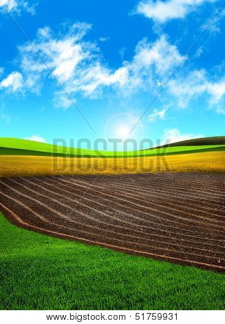 fields