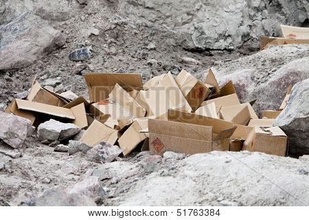 Dumped Cardboard Boxes in Nature