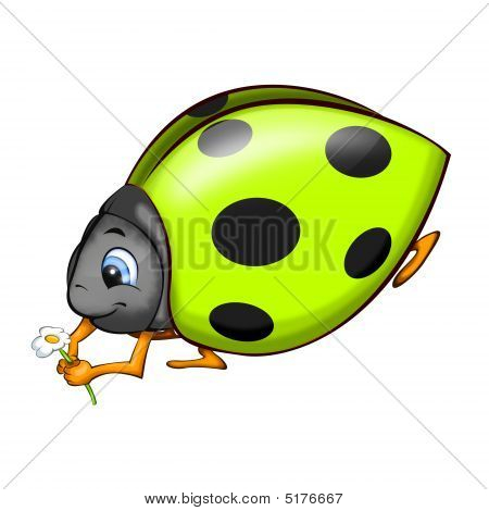 Ladybird Green