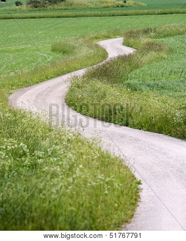 Snaky Dirt Road at summertime