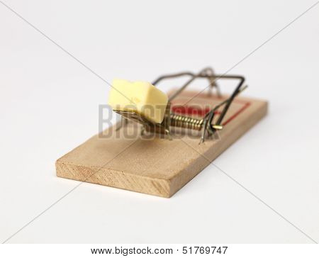 Mouse Trap with cheese on white background