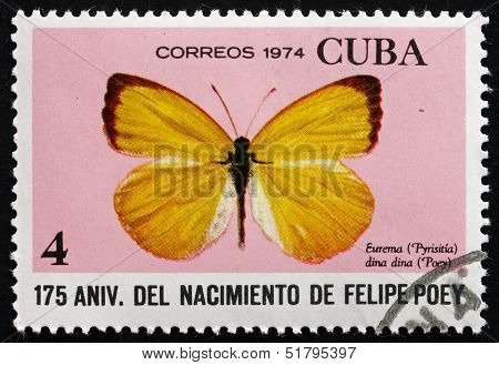 Postage Stamp Cuba 1974 Dina Yellow, Butterfly