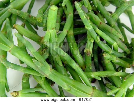 Seabeans