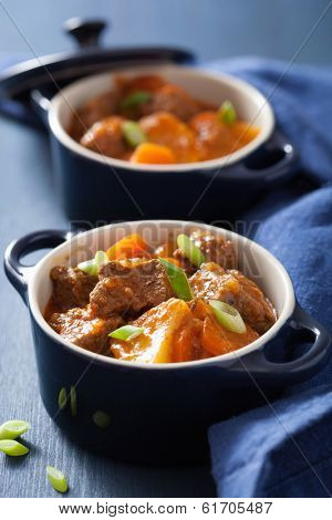 beef stew with potato and carrot in blue pots