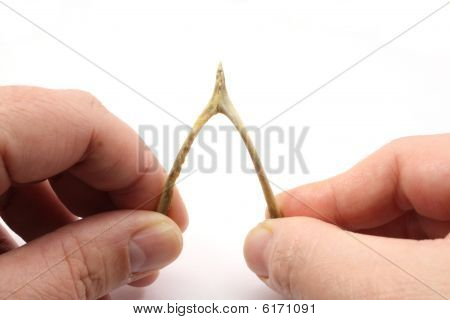Wünsch auf die wishbone