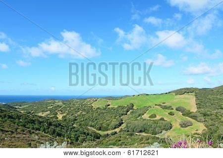 Blue Sky By The Coast