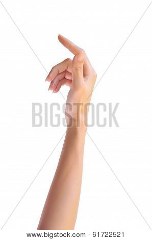 Woman Hand