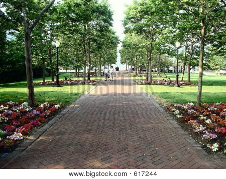 Centerway สแควร์คอร์นทำ NY