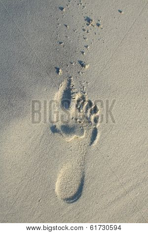 Footprint On White Beach Sand