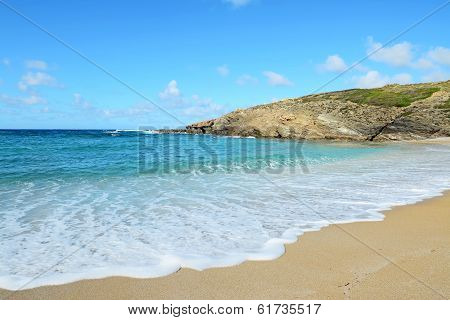 Golden Shoreline