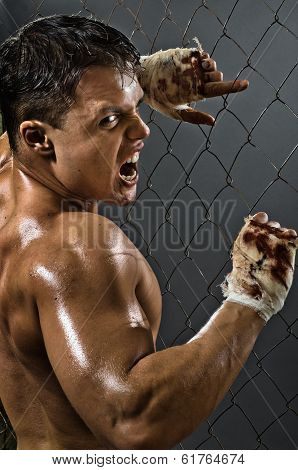 Rage Fighter