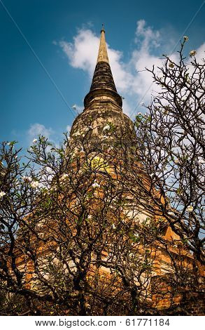 Temple