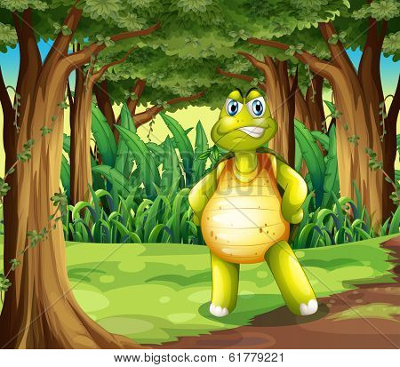 Illustration of a forest with a turtle standing in the middle of the trees